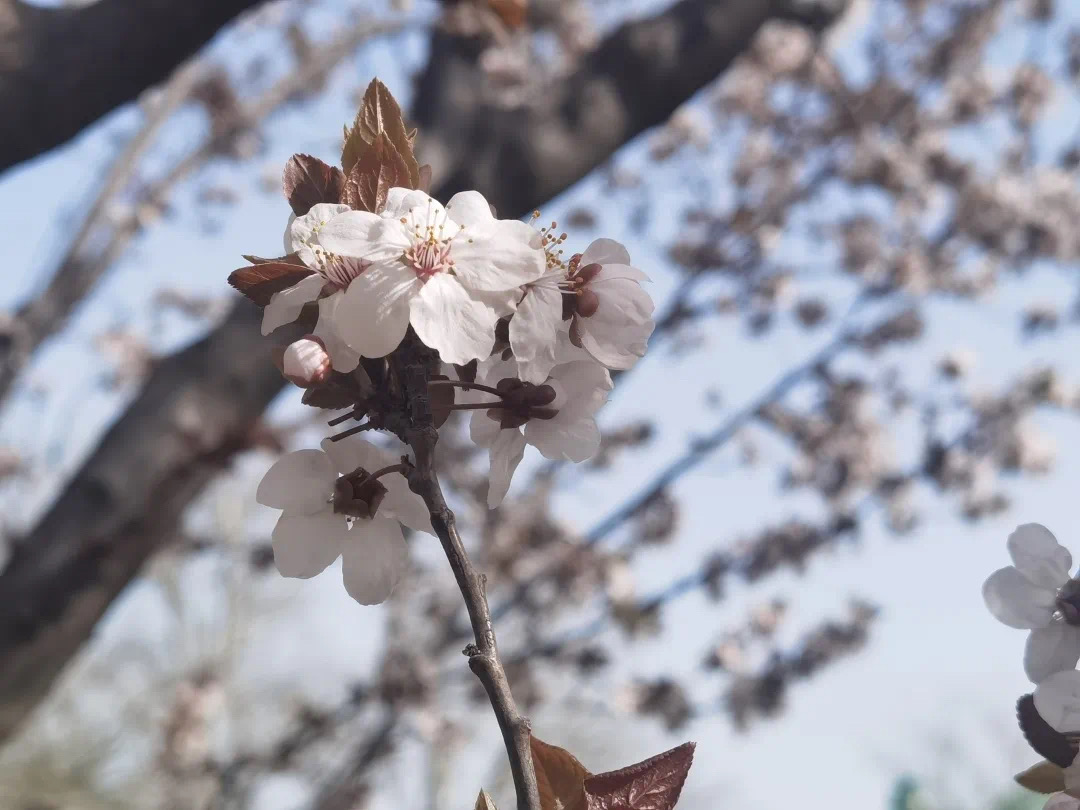 34e15c6103174276b17f5d37f06edac5.jpeg 34e15c6103174276b17f5d37f06edac5.jpeg