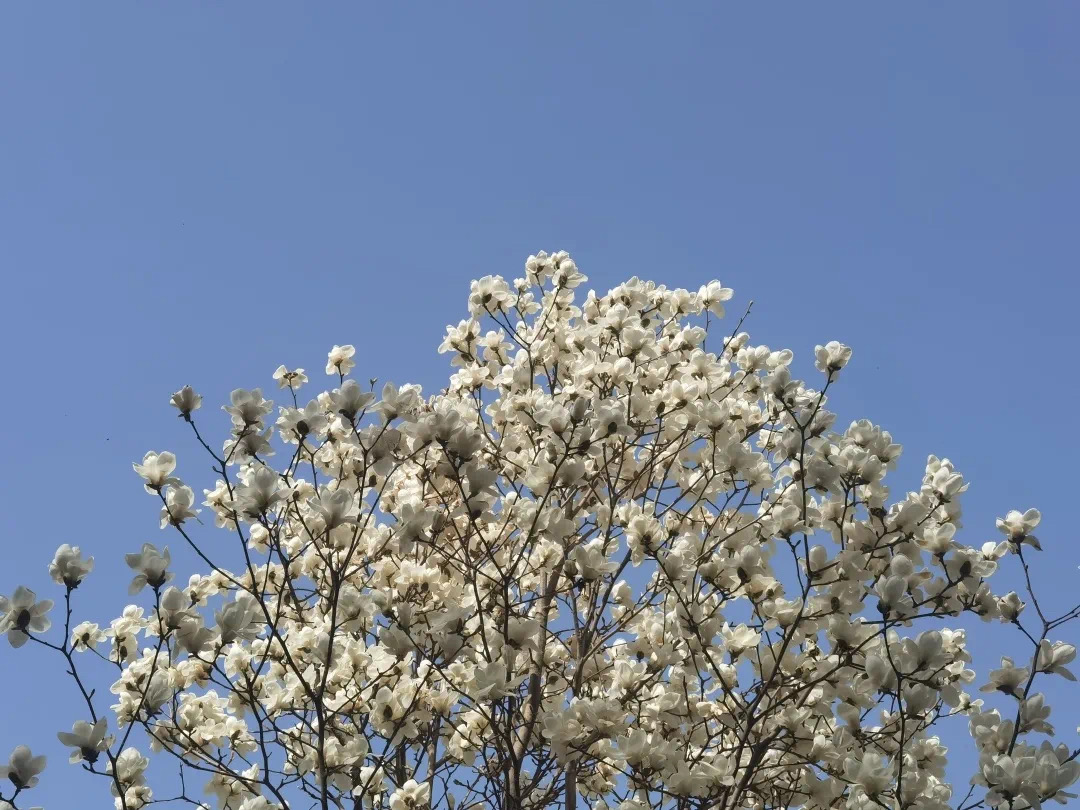 44f549b08d8e4241afbf02bce35882d4.jpeg 44f549b08d8e4241afbf02bce35882d4.jpeg