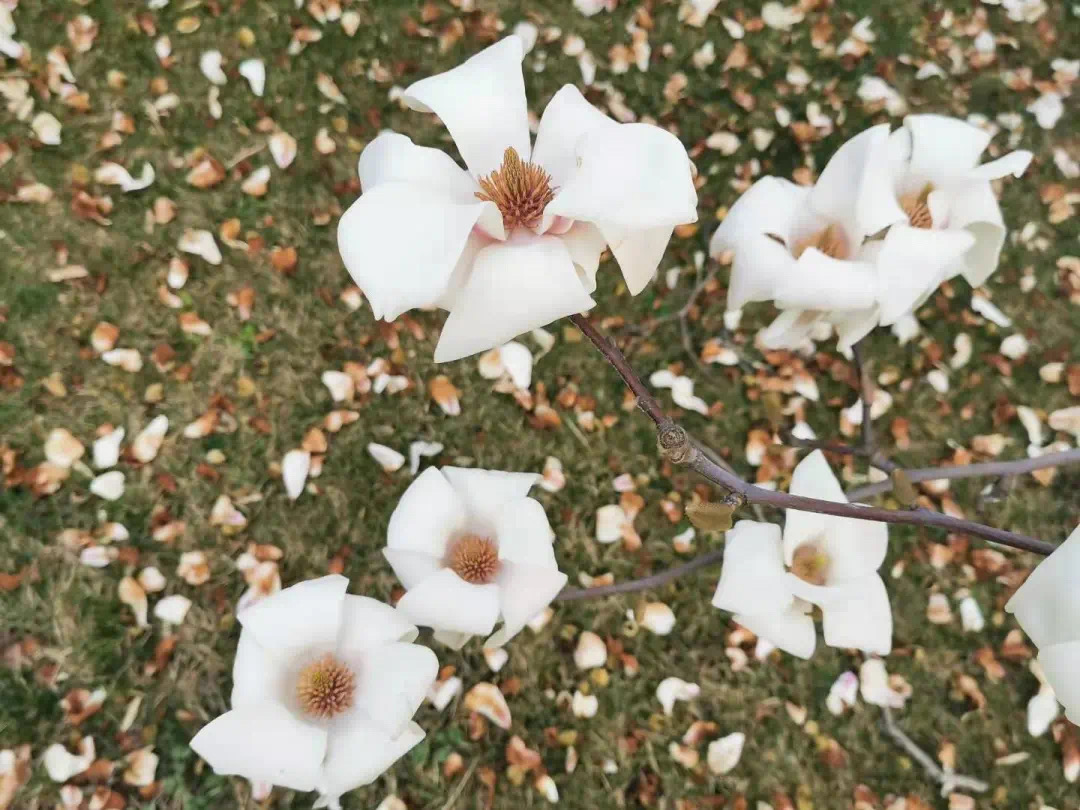 5fab4c7d46194a8ba0e7d60959da5d68.jpeg 5fab4c7d46194a8ba0e7d60959da5d68.jpeg