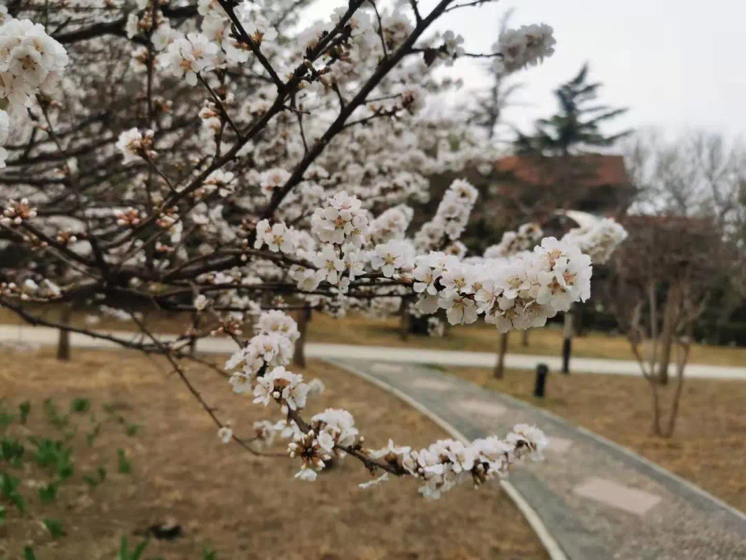 64bfe51ce50e464ea5cc00e51d00cb7a.jpeg 64bfe51ce50e464ea5cc00e51d00cb7a.jpeg