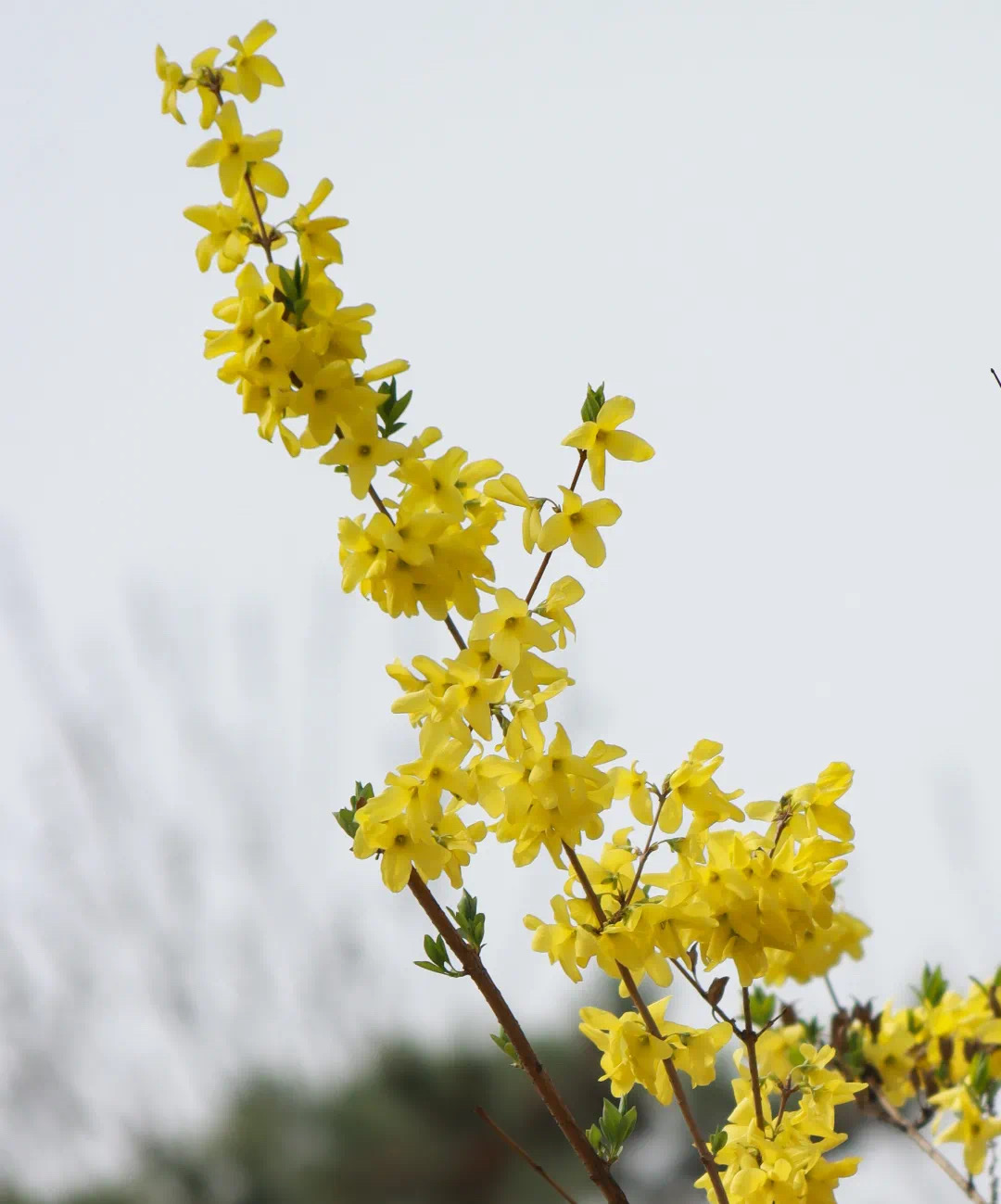 b83cf99dc5d845158497b4c688cd4118.jpeg b83cf99dc5d845158497b4c688cd4118.jpeg